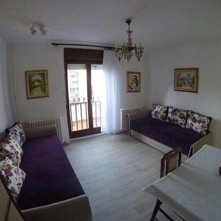 Violet Star Apartment Νόβι Σαντ Εξωτερικό φωτογραφία