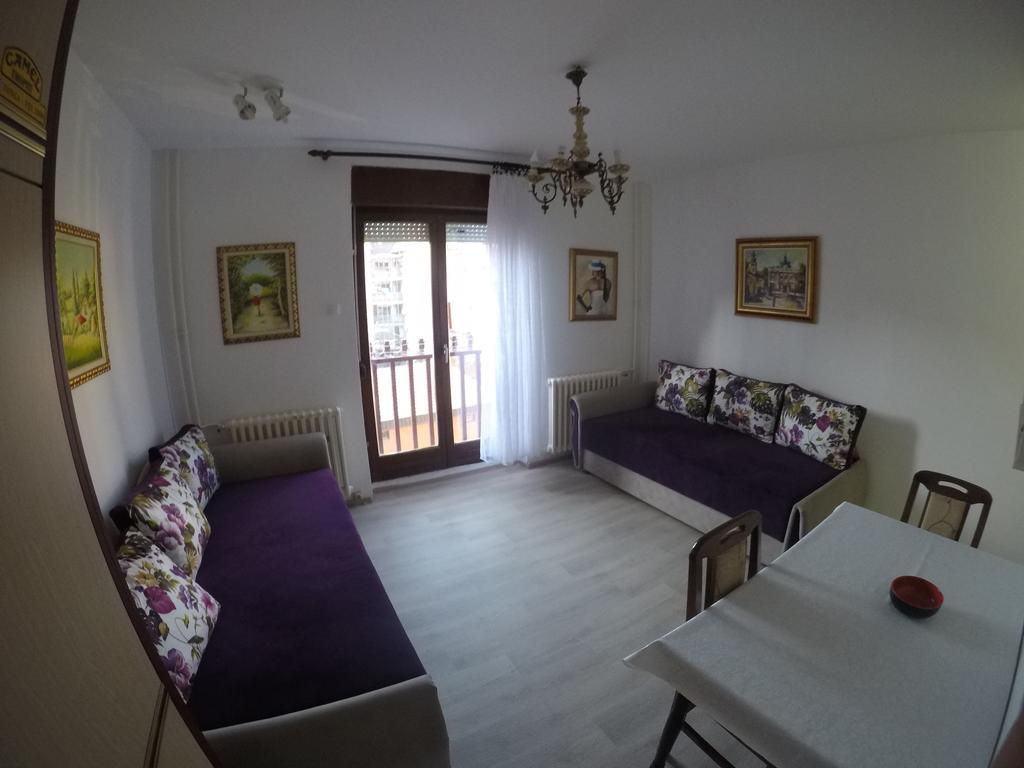 Violet Star Apartment Νόβι Σαντ Εξωτερικό φωτογραφία