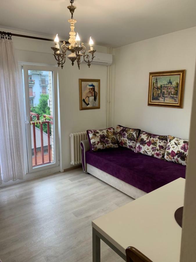 Violet Star Apartment Νόβι Σαντ Εξωτερικό φωτογραφία