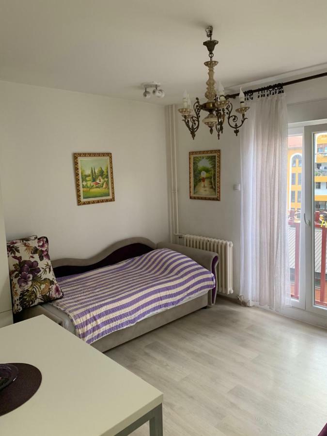 Violet Star Apartment Νόβι Σαντ Εξωτερικό φωτογραφία