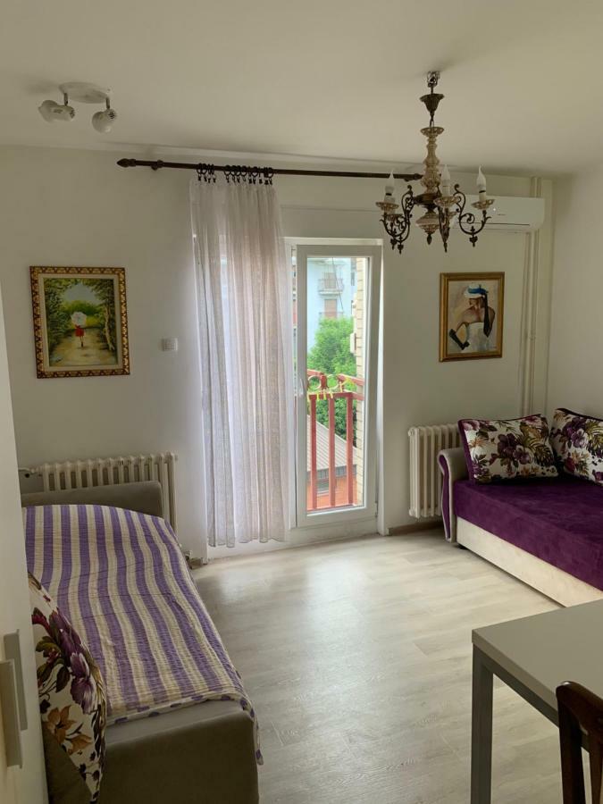 Violet Star Apartment Νόβι Σαντ Εξωτερικό φωτογραφία